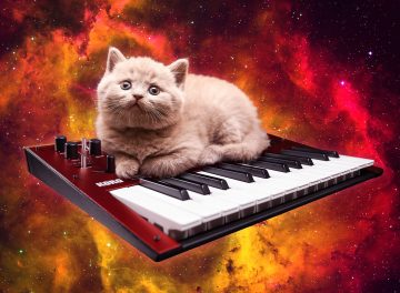 If you&#8217;re not following &#8216;Cats On Synthesizers In Space&#8217; you&#8217;re missing out