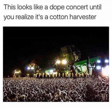 this-looks-like-a-dope-concert-until-you