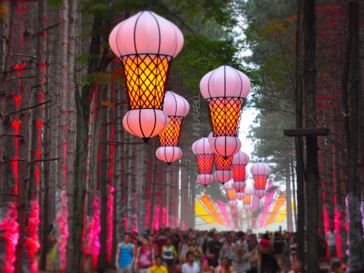 electricforest_09661-743x557
