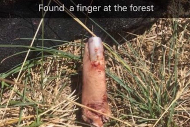 forest-finger-434x300